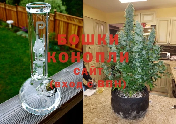 каннабис Новокубанск