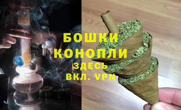 СК Волосово