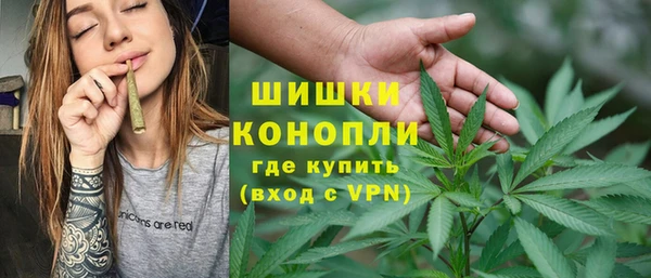 СК Волосово