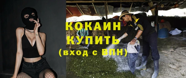 СК Волосово