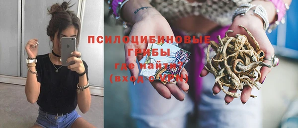 СК Волосово