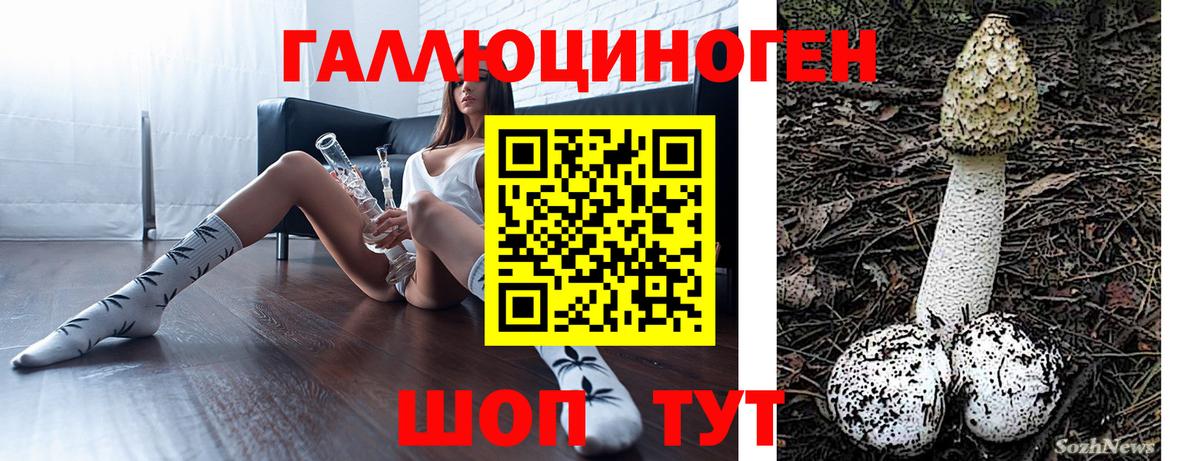 Железногорск  Псилоцибиновые грибы MAGIC MUSHROOMS  Вход с VPN 
